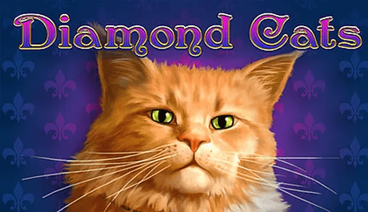 DiamondCatsAM